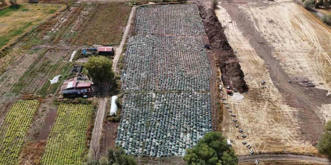 İklim değişikliğinden tarıma büyük darbe: Rekor büyüklükte mahsul kurudu, çiftçi perişan oldu! 1